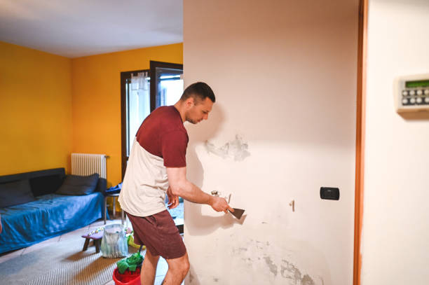 Office Mold Removal Services in Prattville, AL