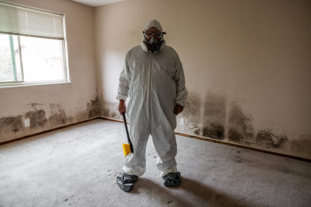 Best Attic Mold Removal  in Prattville, AL